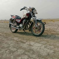 جونده • مرقمة • موديل 11