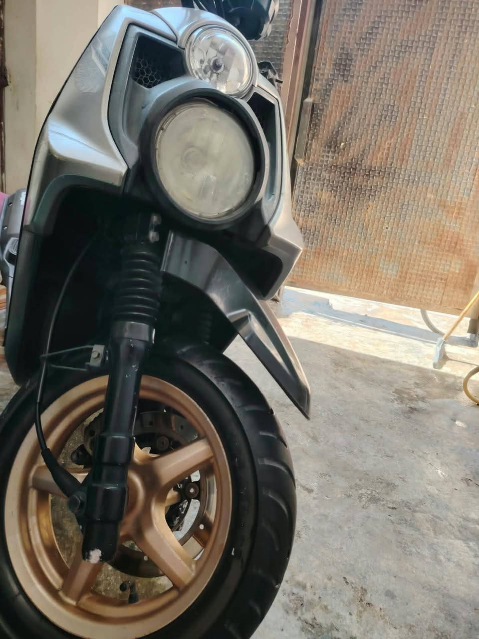 سكنس جبلي • ٢٠١٤ • كفاله