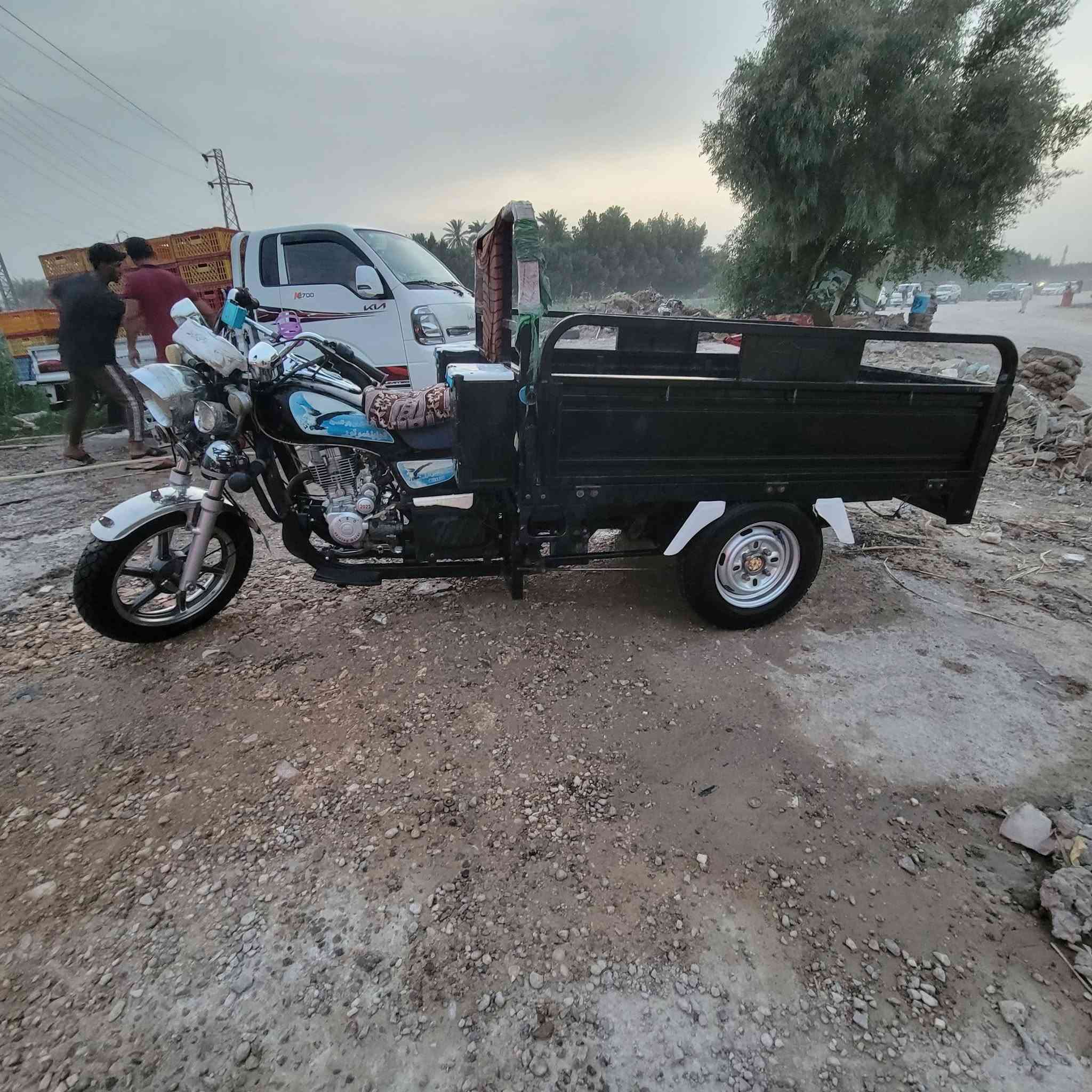 ستوته • ٢٣ • مكفوله