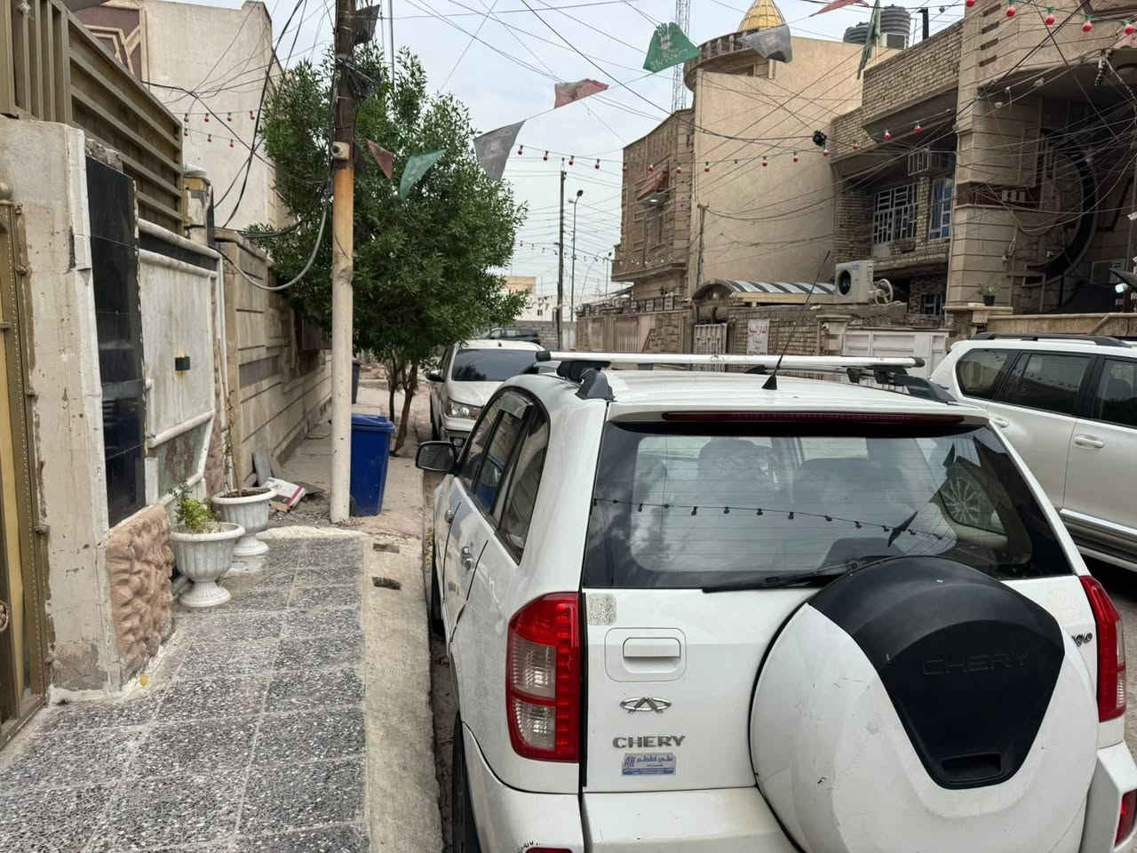 تيكو ٢٠١٣ • رقم دولي • باسمي
