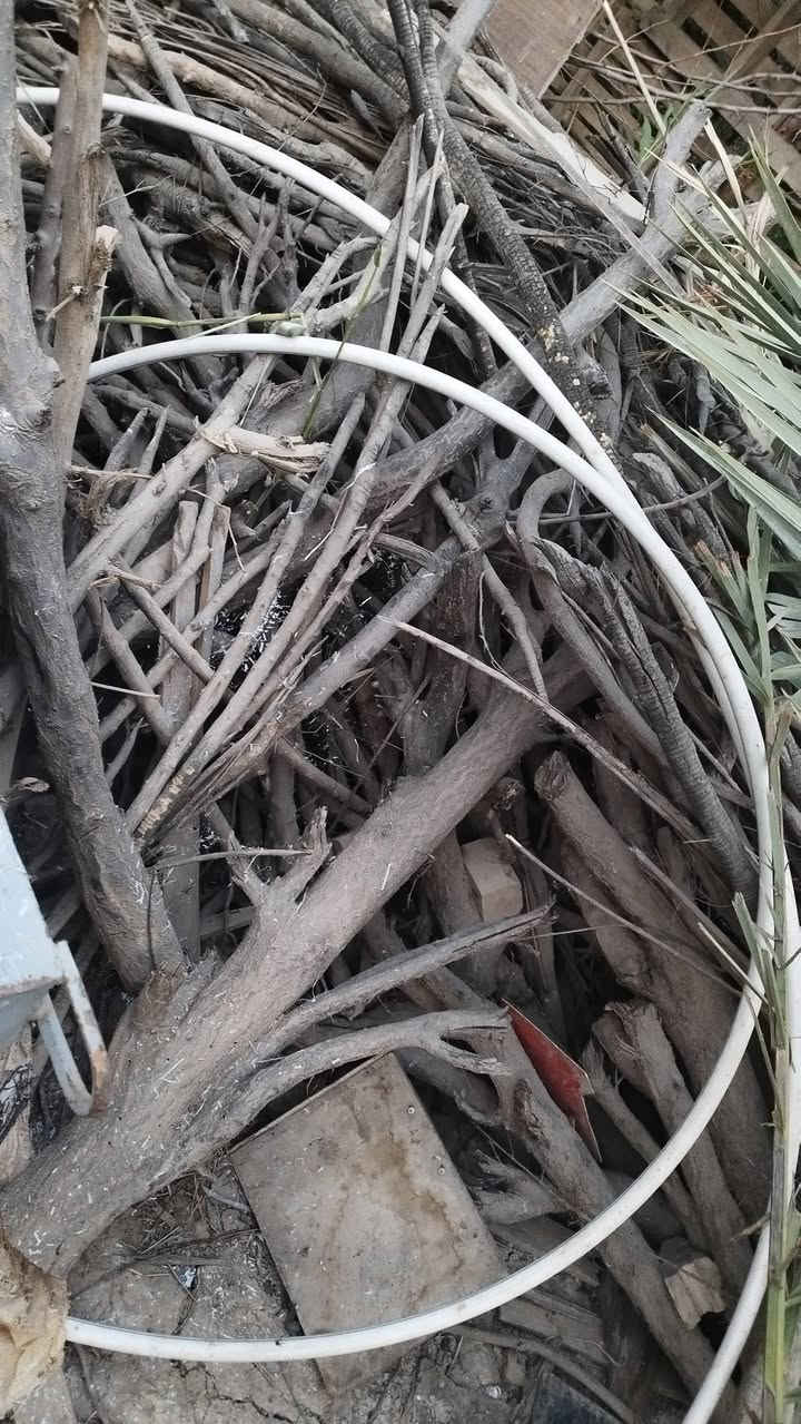 متاح حطب يابس مال شوي المكان فلوجة الازركيه الاستفسار اتصال على الارقام
***********
***********
