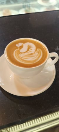 هيد باريستا • متفرغ