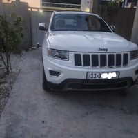 لاريدو • ٢٠١٤ • صبغ عام