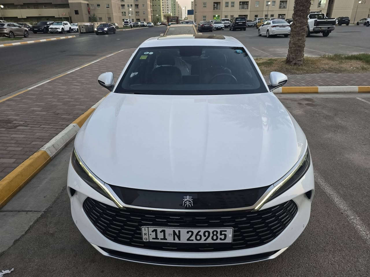 BYD QIN L
بي واي دي كن ال
موديل 24
اسود زيتوني الداخل
شاشة قلاب
كرسي السائق كهرباء
بطارية 120
الون ابيض
5 كامرات
حساس امامي خلفي جانبي
ماشية 17000
السعر 24900 وبيهة مجال بسيط
السيا،ة مكفولة من الحادث والصبغ
بيهة ملاحظات PDR بالبنيد صعد مراهق فوك البنيد خاف من الجلاب الفديو موجود وملاحظات بسيطة بالباب السونار نصبة السيارة حلوة مراح اتبين اي ملاحظات من الي ذكرتهن
بأسمي السيارة
بغداد مجمع بسماية السكني
***********
