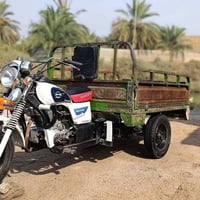 ستوته • موديل ١٥ • أوراق كاملة