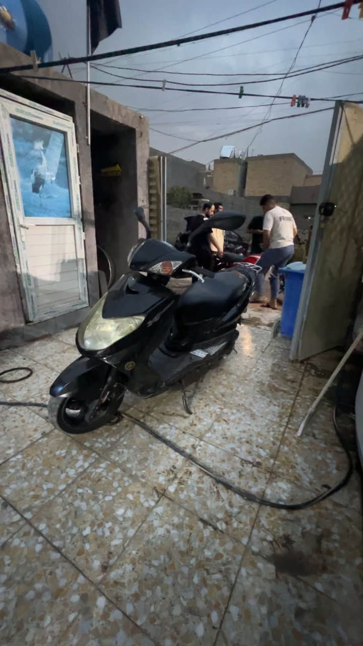 سكنس فحل • نضيفه حيل • أوراق كامله