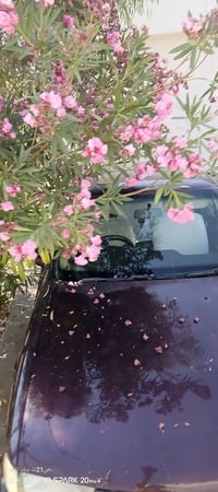 فيكترا ١٫٨ • ١٩٩٢ • تايرات جديدة