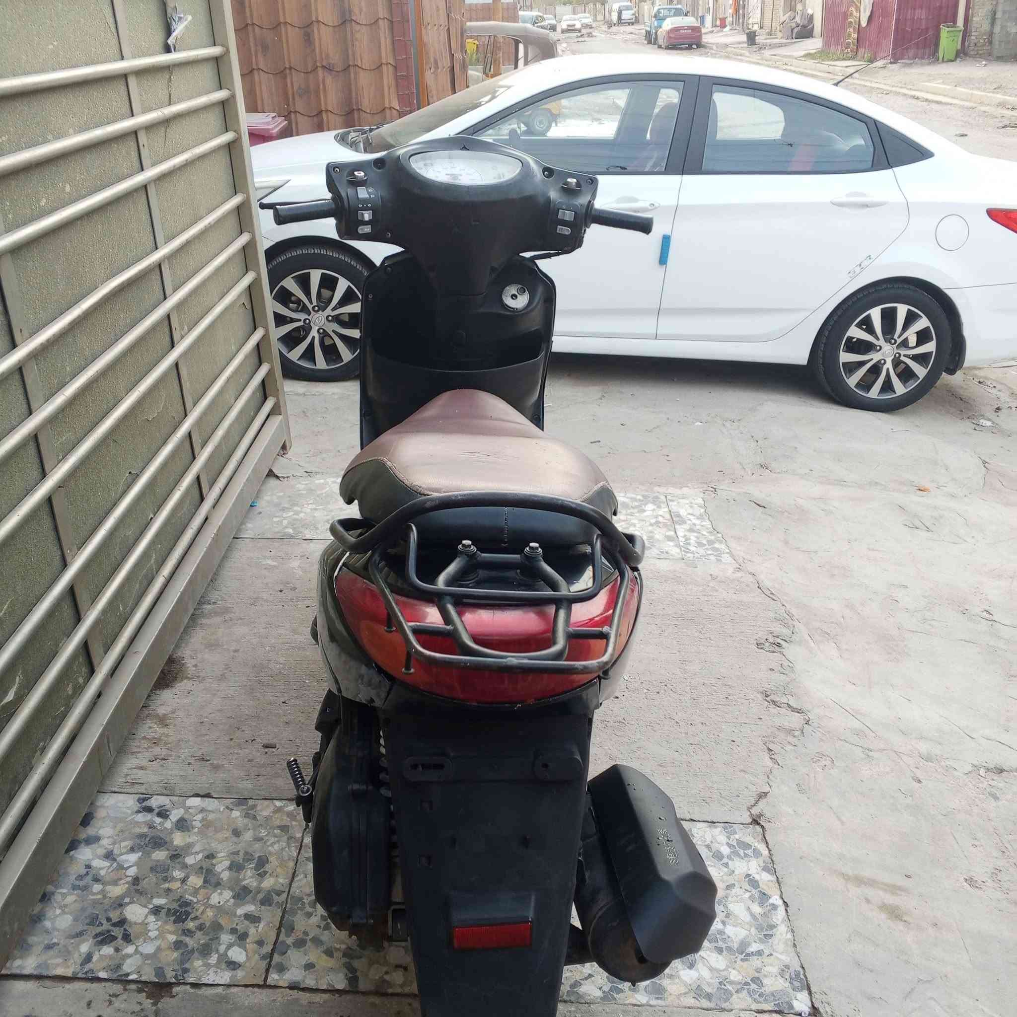فريز ببغاء • نوزل خطين • ١٤٠