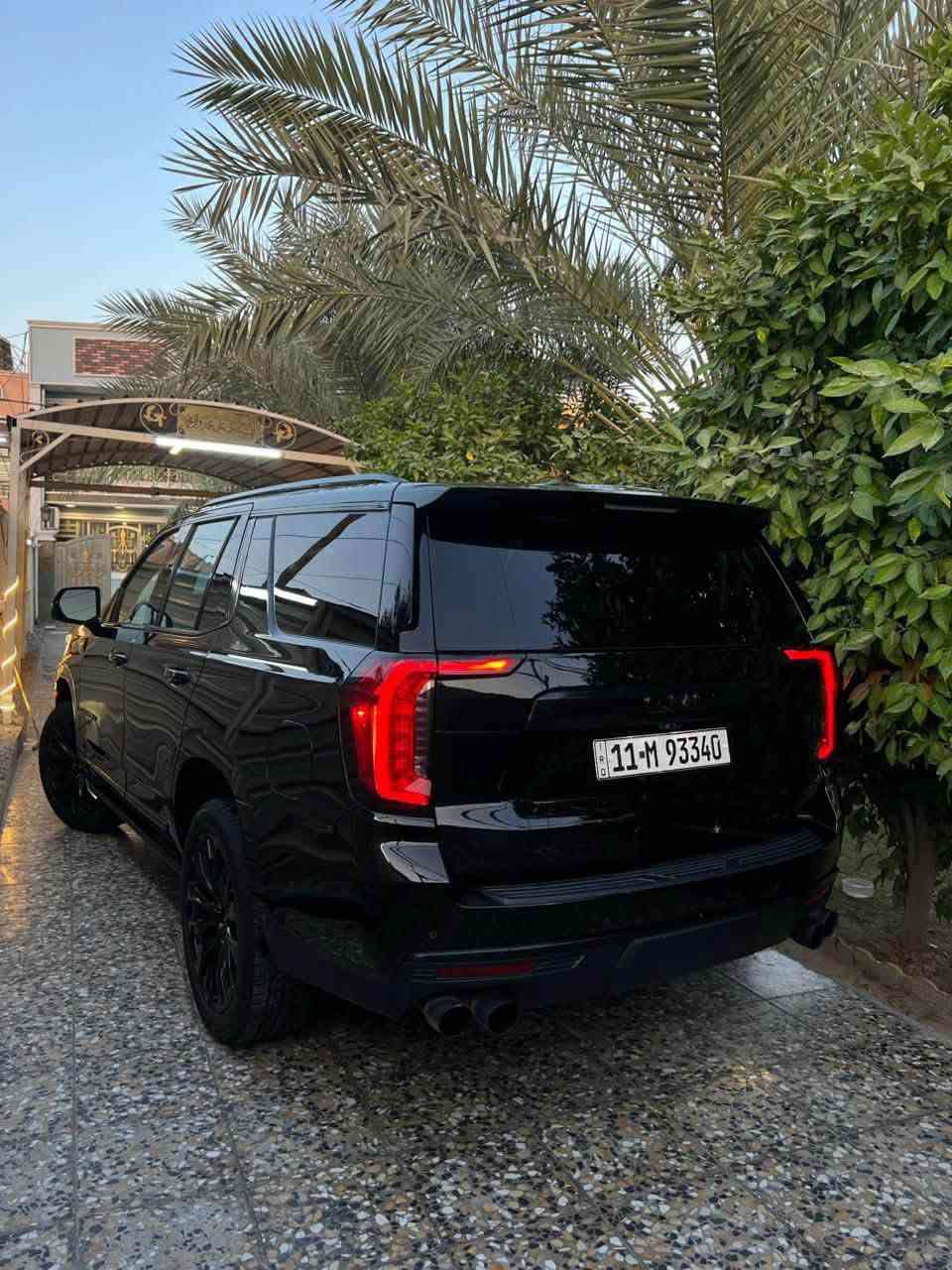 يوكن دينالي • ٢٠٢١ • حادث بابين