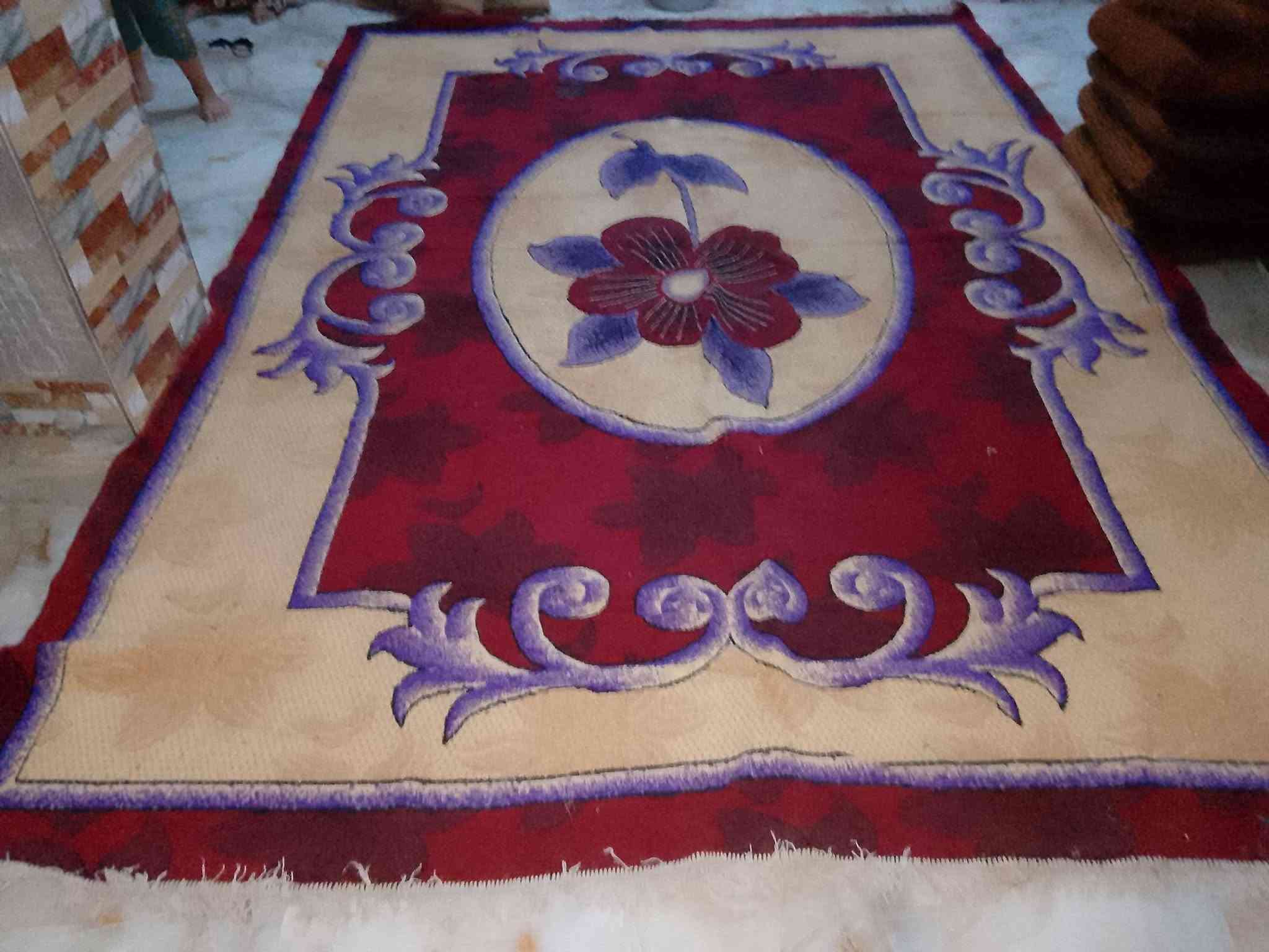 فراشات للبيع كلمن وسعره العنوان حي الرحمه الاولى اتصال ***********
