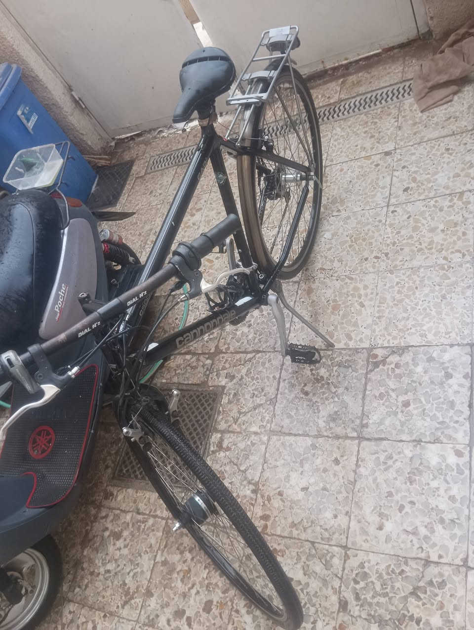كربلاء • بناتي • نظيفة