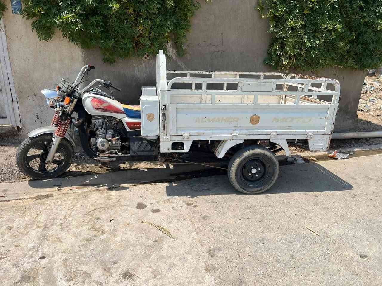 ستوته فحل صقر جاهزة للبيع مكاني بغداد ***********
