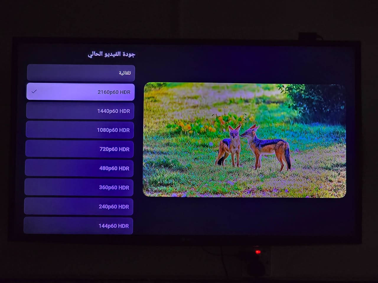 جهاز  c box v3.0
يدعم دقة ال 4k
يدعم سيسكام وشفرة biss
يدعم قنوات الستلايت 
ملحقات كاملة اصلية عدا الكارتونة
صور الجهاز حقيقية نظيف 99%

توصيل لكل المحافظات موجود

٦٠ الف مع التوصيل
واتساب ***********
