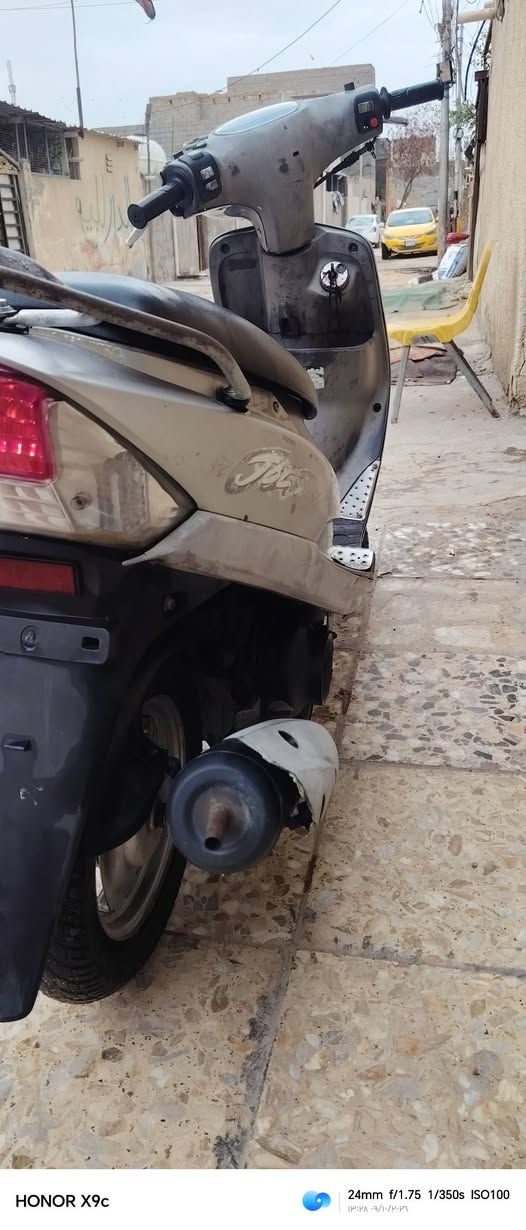 ماكس منغولي • كفالة • ختم واحد