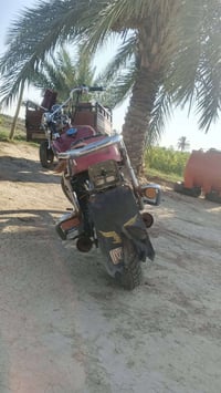جونده • مكفوله • اوراق اصولي