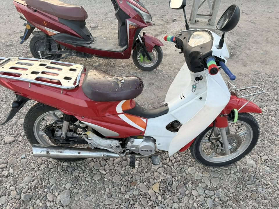 سرفيز • ستوته • للبيع