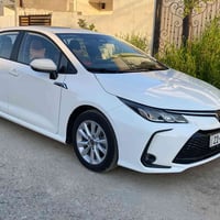 كورله • ٢٠٢٥ • كركوك