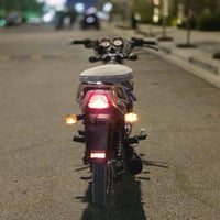 دايون • عظم • كفاله