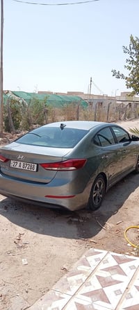 النترا • ٢٠١٧ • وارد أمريكي