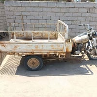 ستوته • للبيع • بالصور