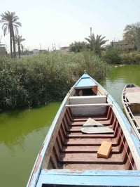جينكوه فايبر • ٧.٥م • قابل تفاوض