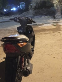 ماكس ثعلب • نضيفه • مستعجل