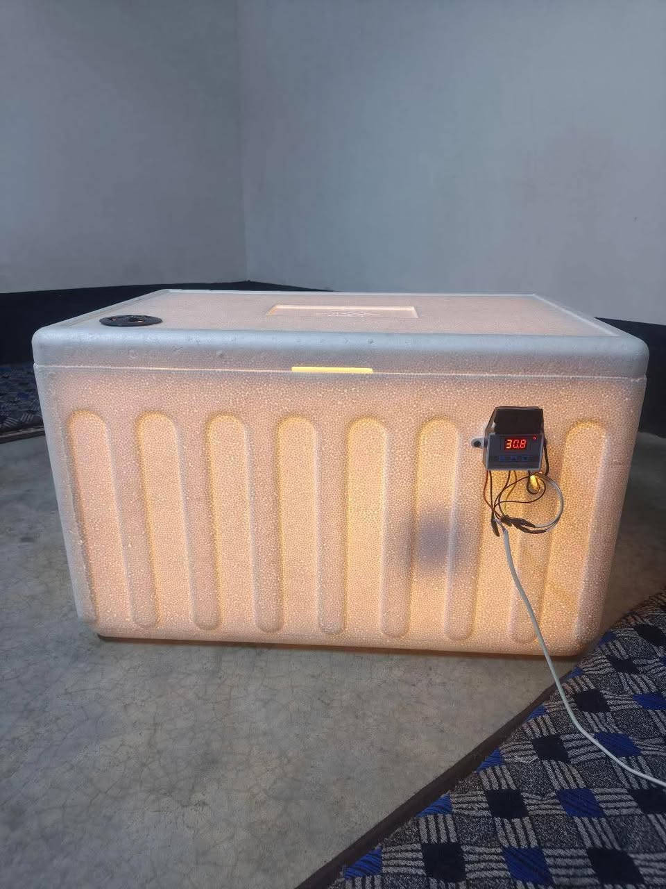 فقاسة بيض • ما مستخدمة • قالب فقط