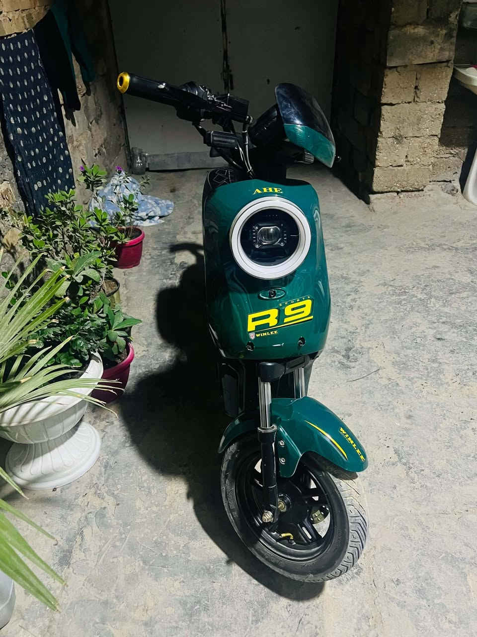 دراجة شحن • R9 • جديدة