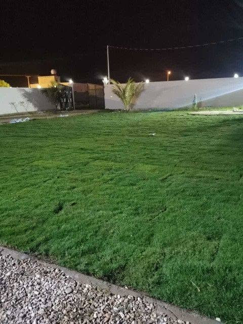 مستعدين لزراعه كافه البساتين والملاعب والحدائق باسعار مناسبه باداره الاخ ابو مهدي المرشدي المرشدي التواصل رقم الهاتف*********** #بساتين #البصره #العراق
