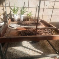 سكافه • بغداد • ١٫٦م×١٫٦م