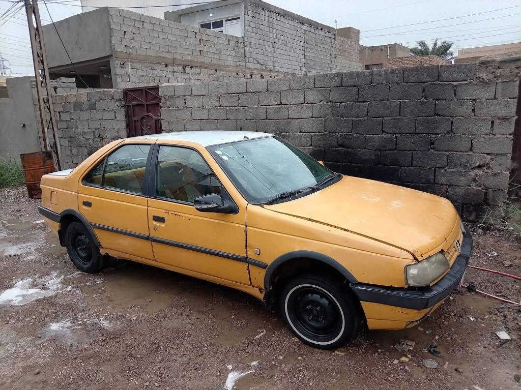 بيجو روا • ٢٠٠٨ • بدون صبغ