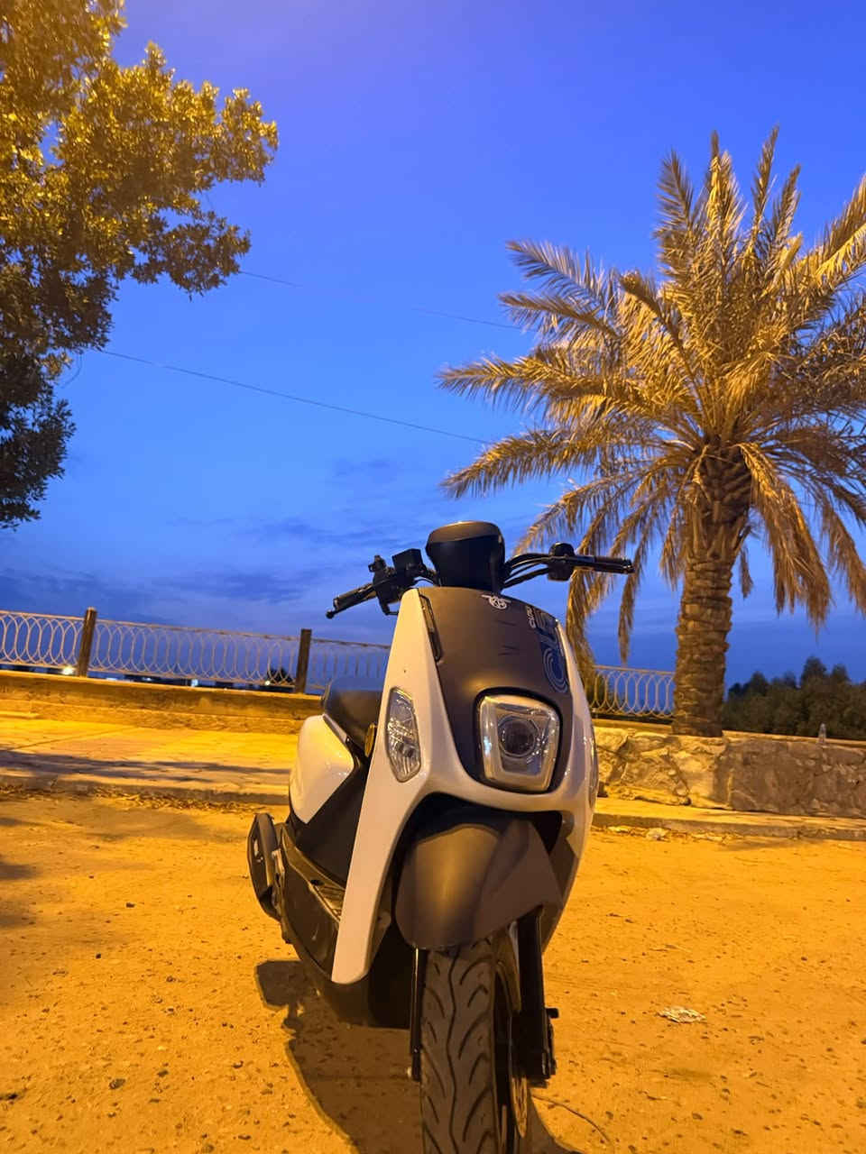 بوليس صيني • مراوس • ماكس عدلة