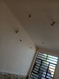 شغل نضيف • يومية • موثوق