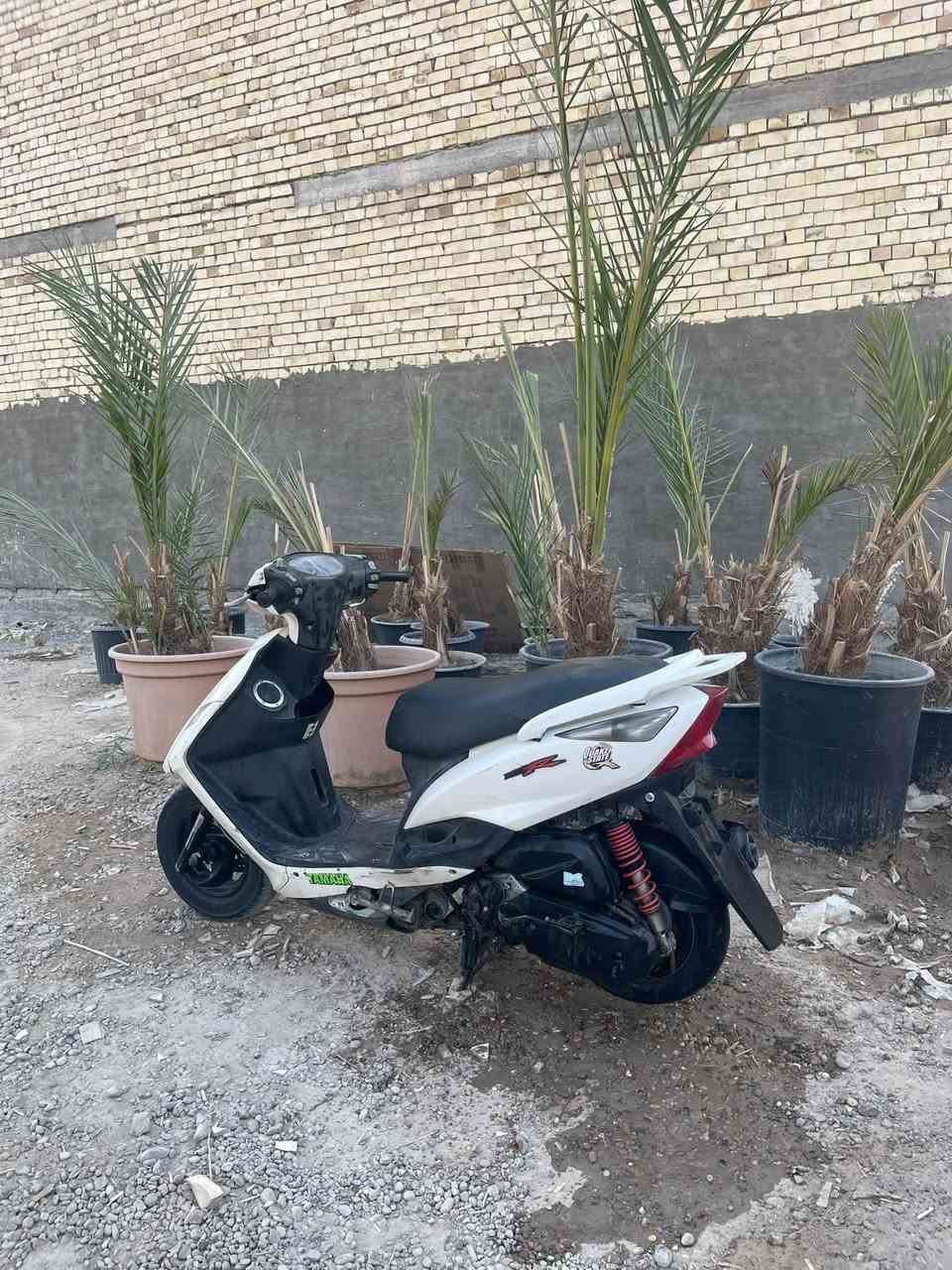 السلام عليكم دراجه ثعلب للبيع بيهه نواقص قليله راسلني وبخدمتك سعر 550 وبيهه مجال العنوان شهداء البياع للستفسار ***********
