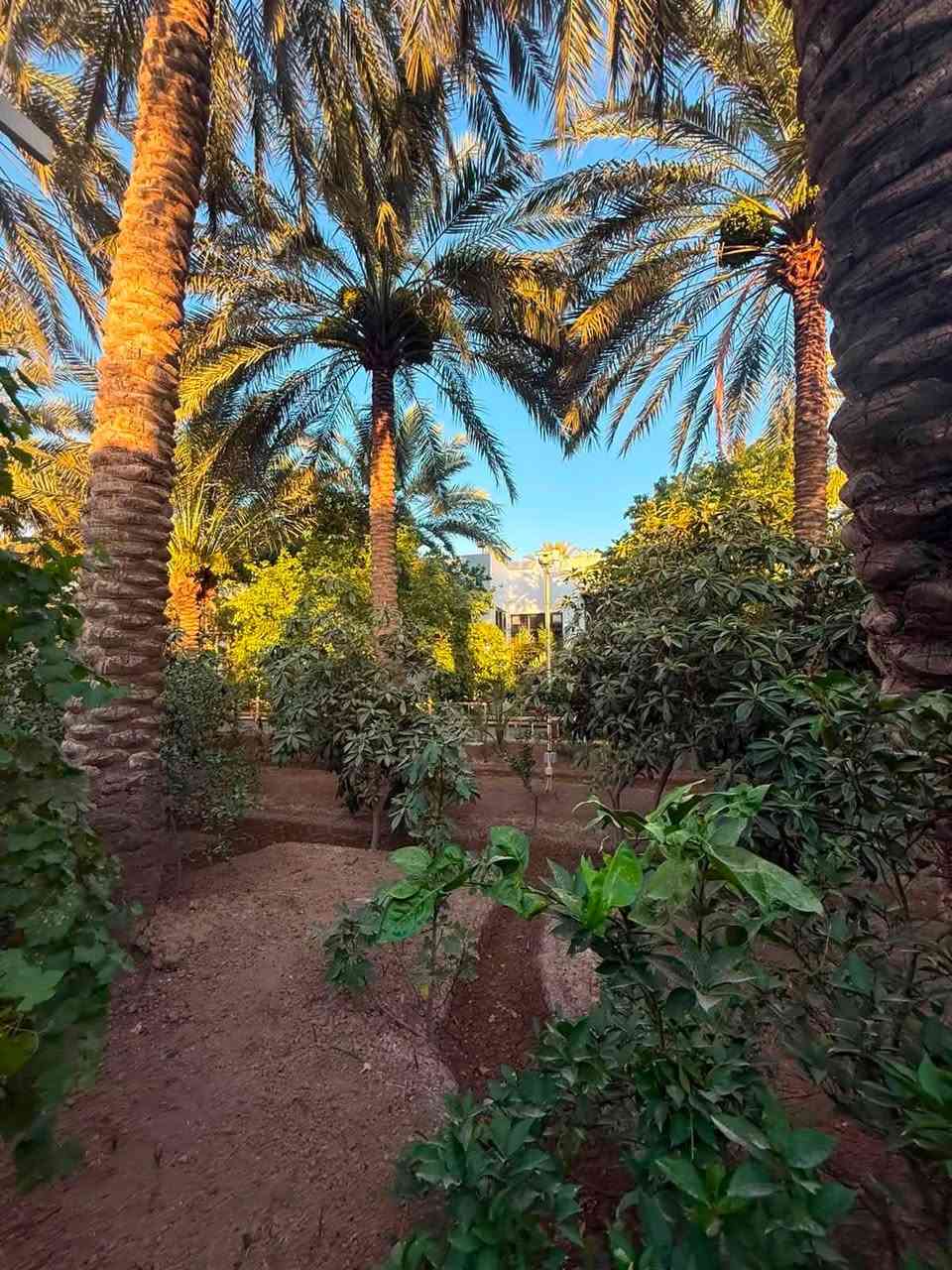 توفرت حجوزات بالكاظمية الطي
للاستفسار ***********
