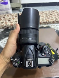 نيكون 7200 • عدسة 85مم 1.8 • فلوجة الانبار
