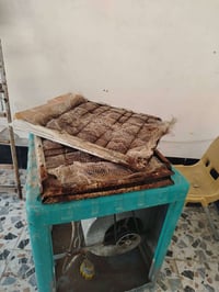 كربلاء • حي العسكري • شارع العمران