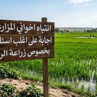 سقي بعد الرش • عدم خلط مبيدات • مكتب الفتلاوي