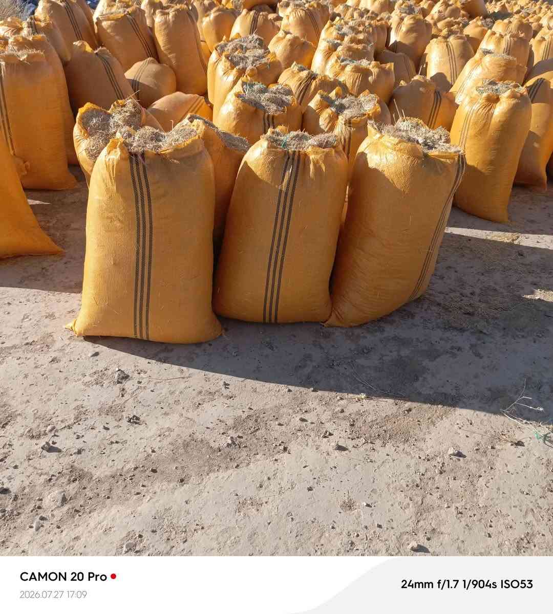يوجد تبن البيع كمية مفتوحه السعر مناسب سعر الزواج 2500  / ***********
