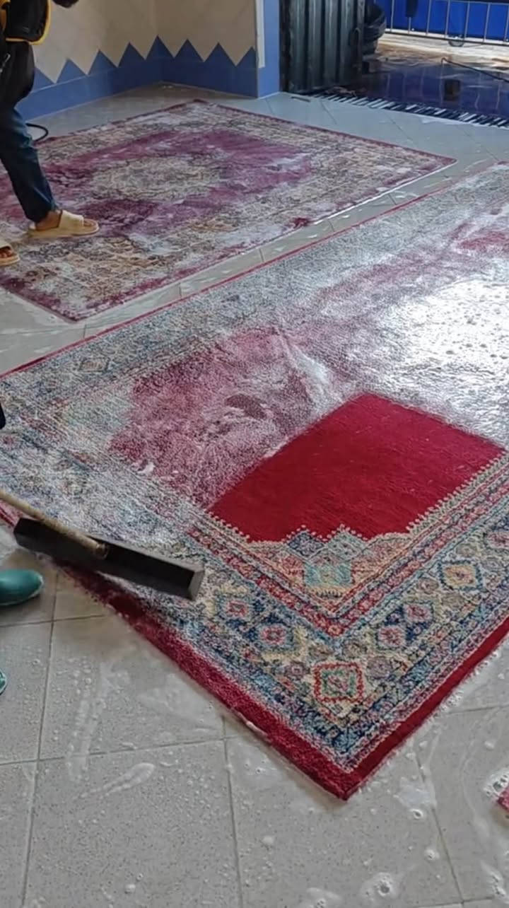 غسيل سجاد • طانيات • تعقيم