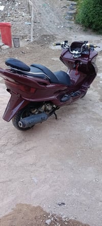 ماجسته • شغاله • كهربايات
