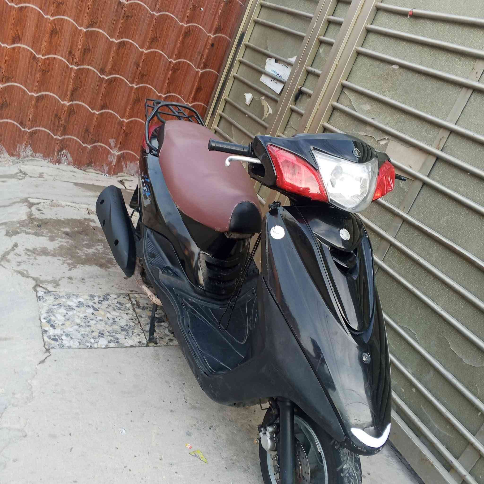فريز ببغاء • نوزل خطين • ١٤٠