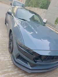 موستنك ايكو • ٢٠٢٤ • بدون رقم