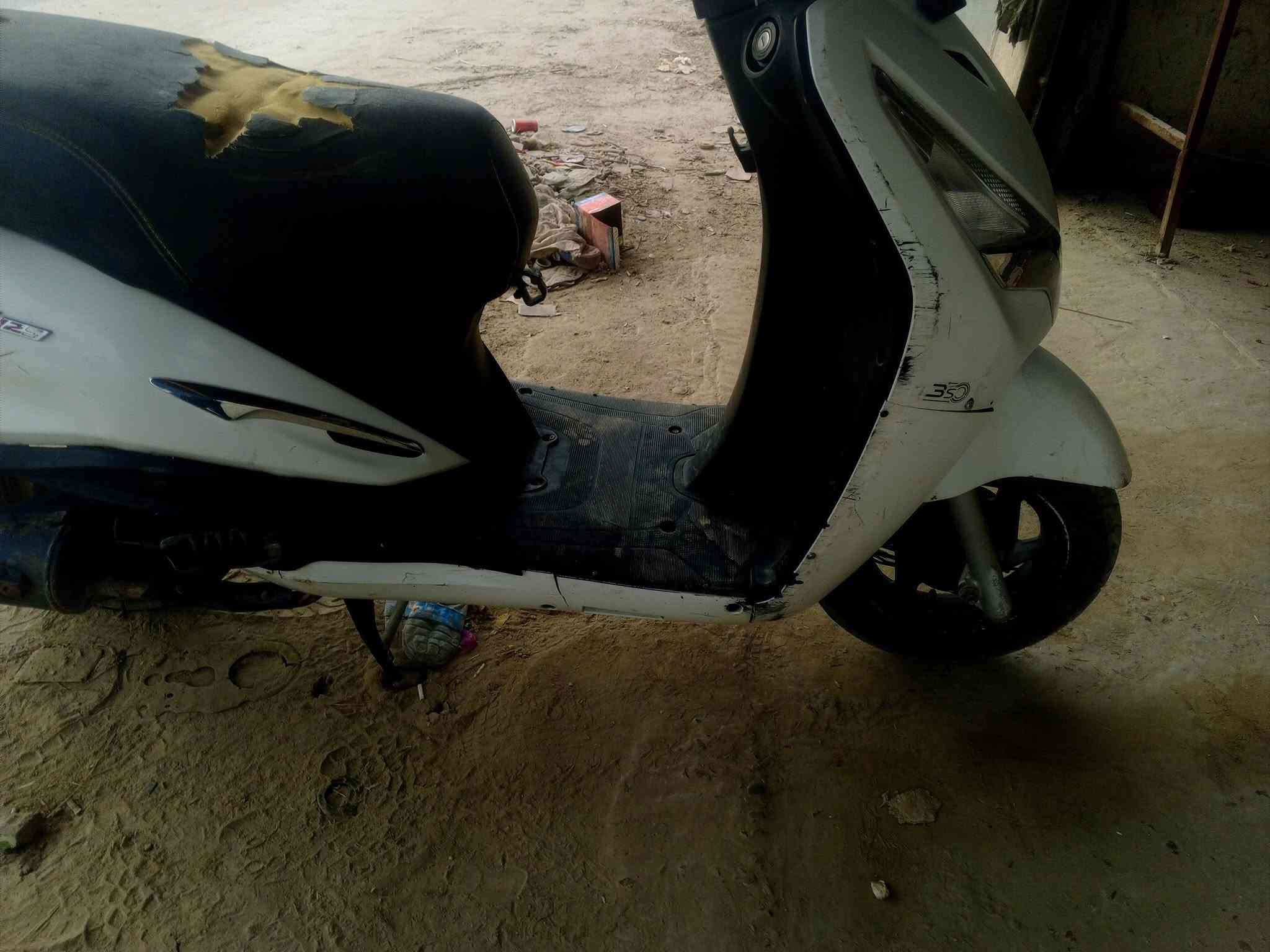 هندي • شغاله • حله