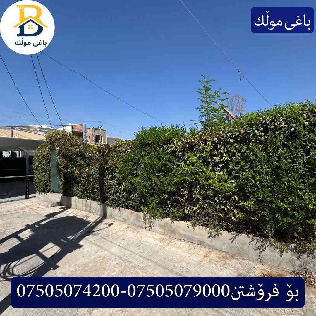 خانوو پێش حدیقە بۆفرۆشتن له #32پارك  
دوو نهۆمى به رووبەری 200م بەکارهاتوو
،روو لە نسار
    ،5ورى نوستن ،2سویت، 
گه رماو  ،چێشتخانە+چێشتخانەی گەرم،كوالێتی،شەقامی10م
کۆد.2701

دار مقابل حدیقة للبيع في #32پارك
2طابق بمساحة 200م بیت مستعمل،واجهة  نسار
، 5غرف النوم,2سویت ،+مشتملات  ،مطبخ 
عمل+مطبخ ،كواليتي ،على شارع10م

للأستفسار اتصل على.
📞 ***********
https://wa.me/+9647505078000

📞 ***********
https://wa.me/+9647505079000

📞 ***********
https://wa.me/+9647505074200

#عقارات  #باغی_موڵك #هەولێر  #عقارات #عقار  #دبي_مول  #بیت #للايجار  #عاجل #عراق #باغیموڵك  #باغی_موڵك  #خانووبۆفرۆشتن #خانووی #دبي #ڤيلا #erbil #baghy_mulk  #fortuner  #فوری  #بغداد  #بینا #باغلومنارە  #baghy_mulk  #نينوى #baghy_mulk_realestate #باغی_مولک #باغی_مولك

نص مكتوب في الصور:
- باغى مولّك باغى مولّك بو فروشتن ***********-***********
- باغى مولّك
- بو فرۆشتن ***********-***********
- باغى مولك بو فروشتن ***********-***********
- باغى مولّك ***********-*********** بۆ فرۆشتن
- باغى مولّك باغى مولّك بو فروشُتن ***********-***********