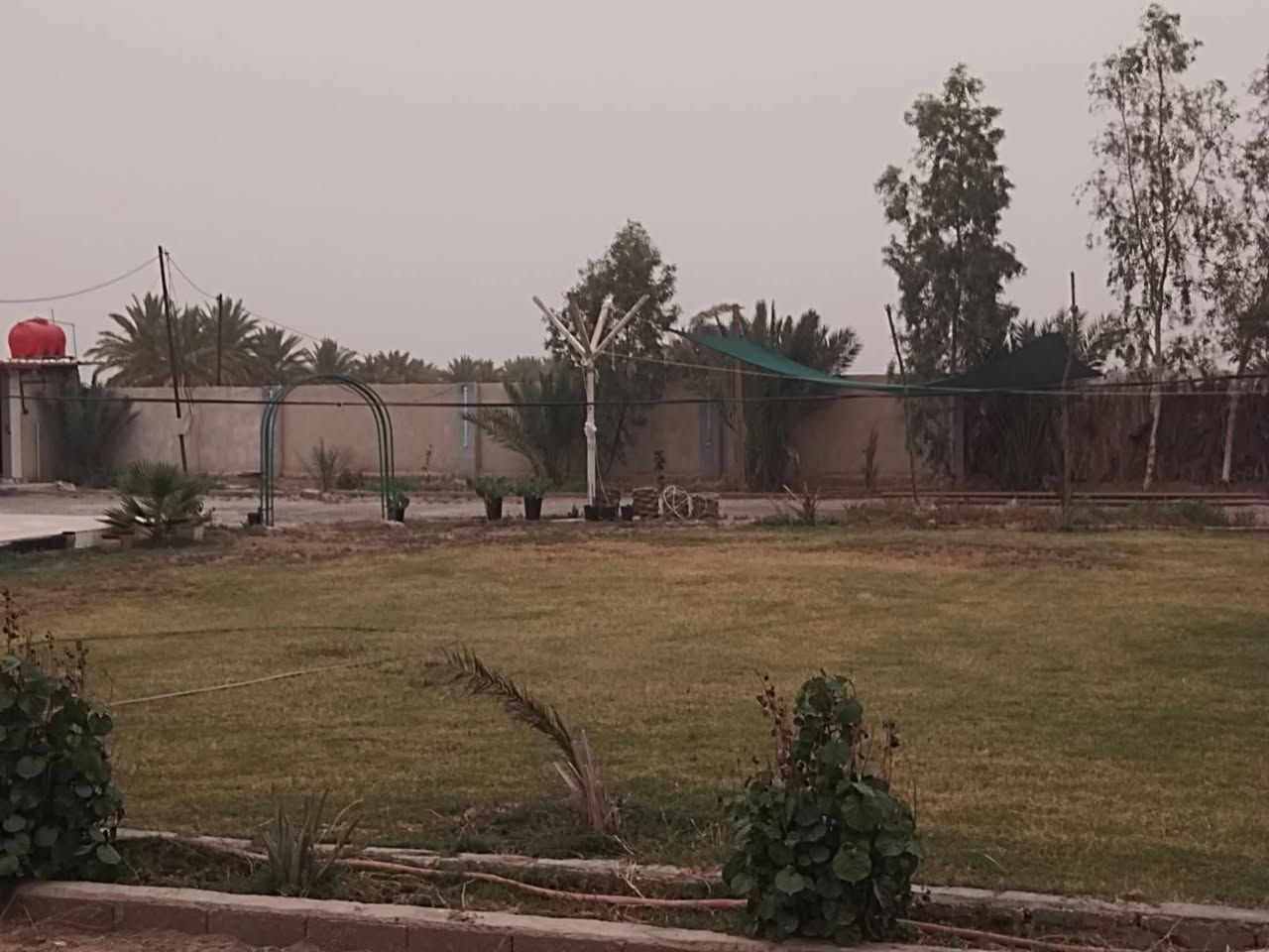 دونمين ونص • طابو زراعي سند ٢٥ • خلف جامعة بابل