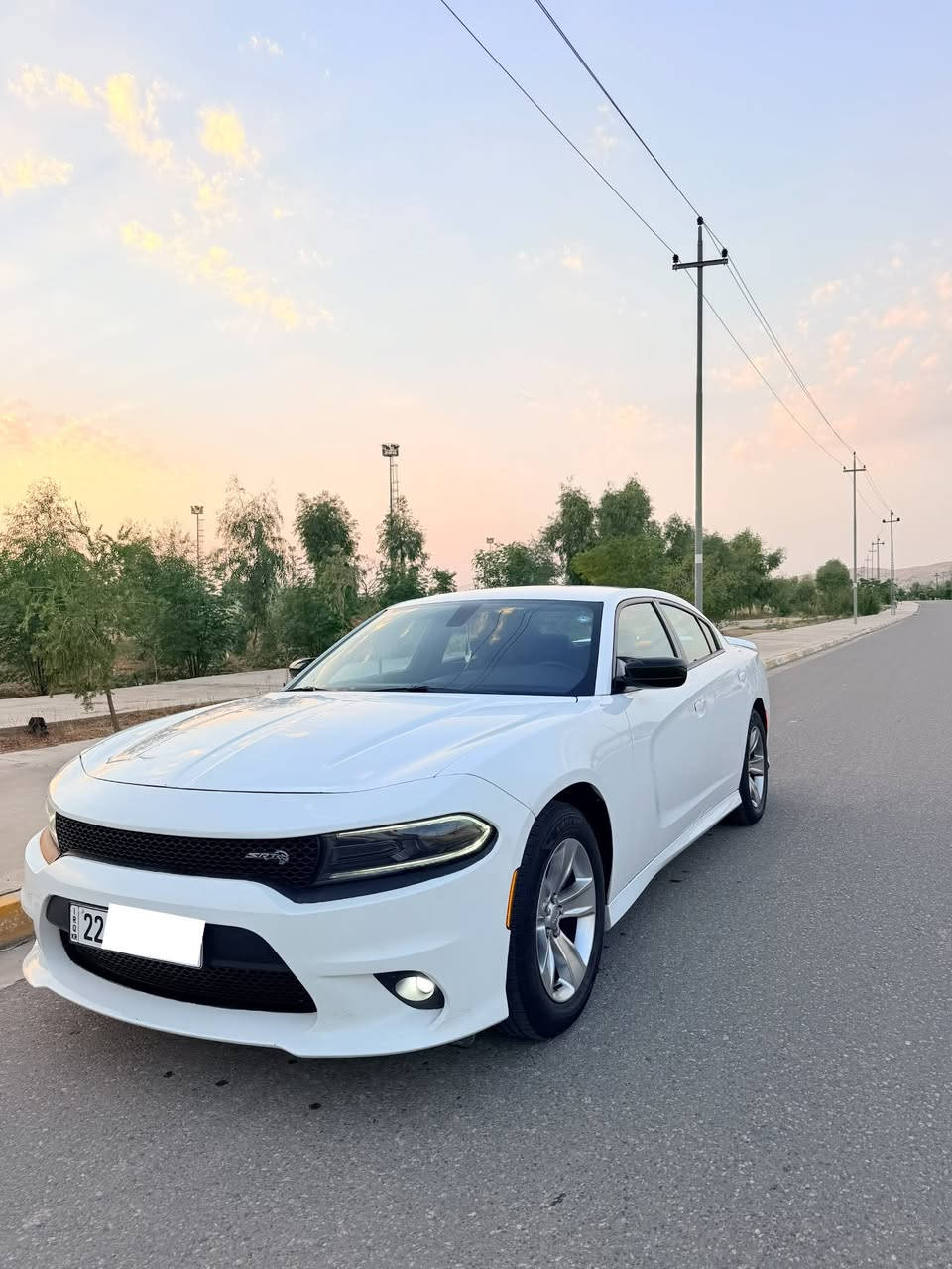 تشارجر SXT • ٢٠١٩ • رقم اربيل