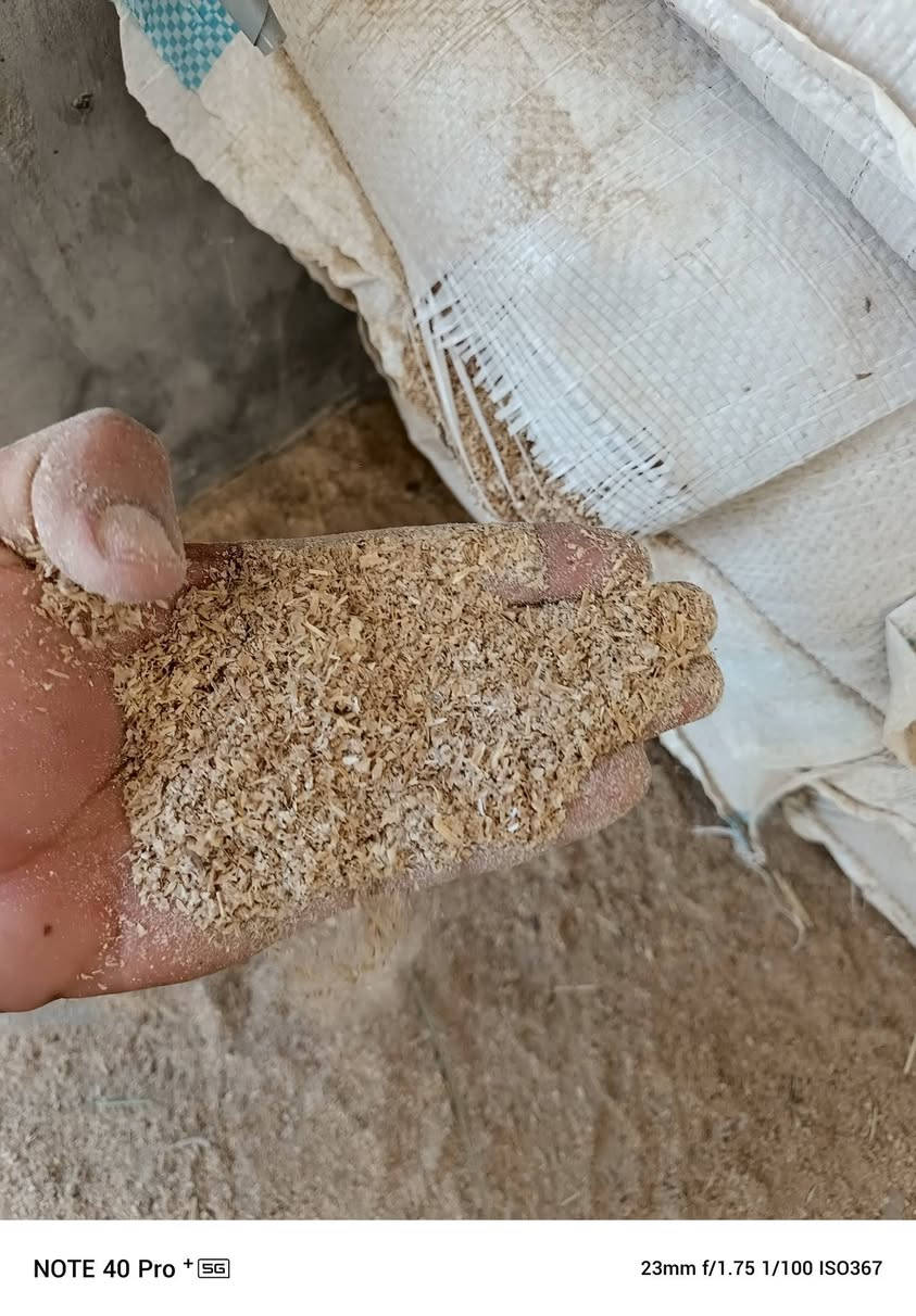 السلام عليكم ورحمة الله وبركاته

إلى أصحاب المحلات التجارية
والفلاحين وأصحاب الحقوال 
تخفيضات #تخفيضات

خاليه من الشوائب نظيفه شرط النظافه

جمله# مفرد
العنوان حله طهمازيه تقاطع العلويه شريفه نهاية طهمازيه 
على بركة الله تعالى وصول نخاله شرط خشنه فول درجة أولا وزن الكيس 18ك او١٧ اسعار تنافسية 
للاستفسار اكثر *********** ***********
 العنوان حله 
الله يرزقنا ويرزقكم جميعا رزق حلال
