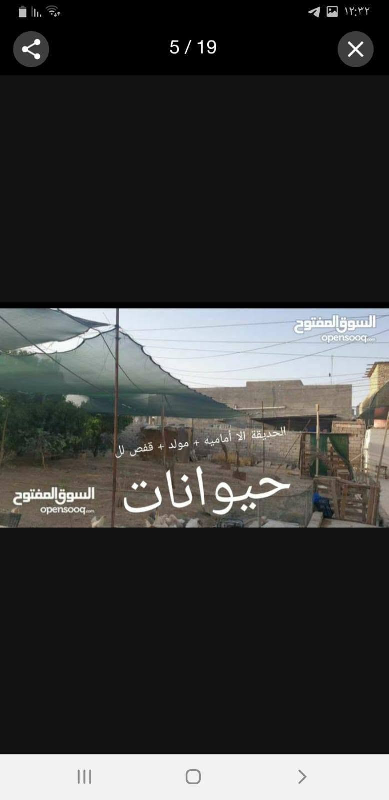 شط العرب الصالحيه • ٤ بيوت • ٢٥٠٠م