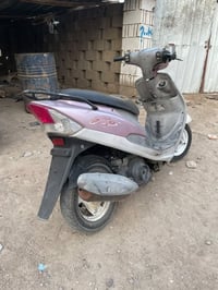 ماكس بوشه • ٥٥